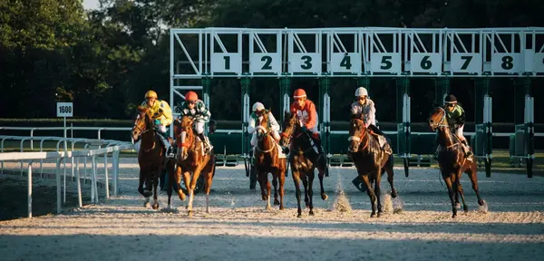 Dubai World Cup 2027 yacht charter
