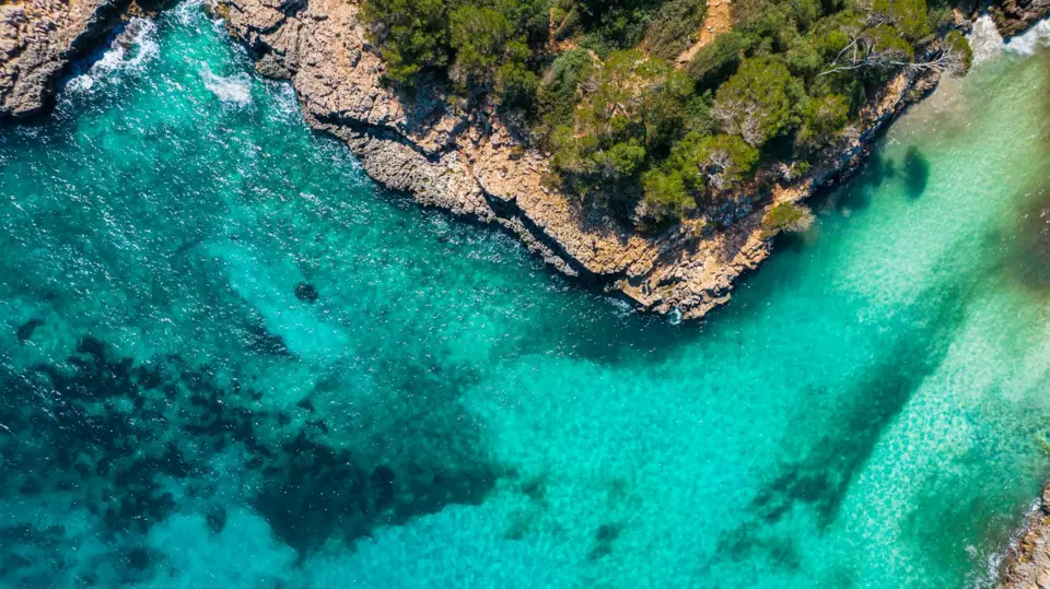 Mallorca Yacht — Guide gallery — image 1 of 3