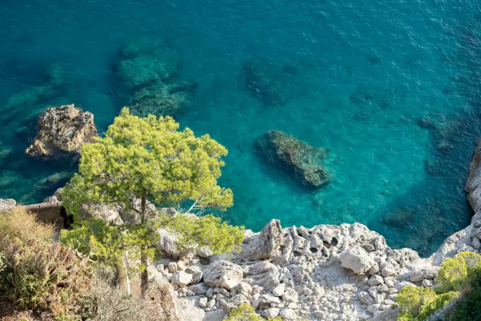 Capri Yacht — Guide gallery — image 2 of 3