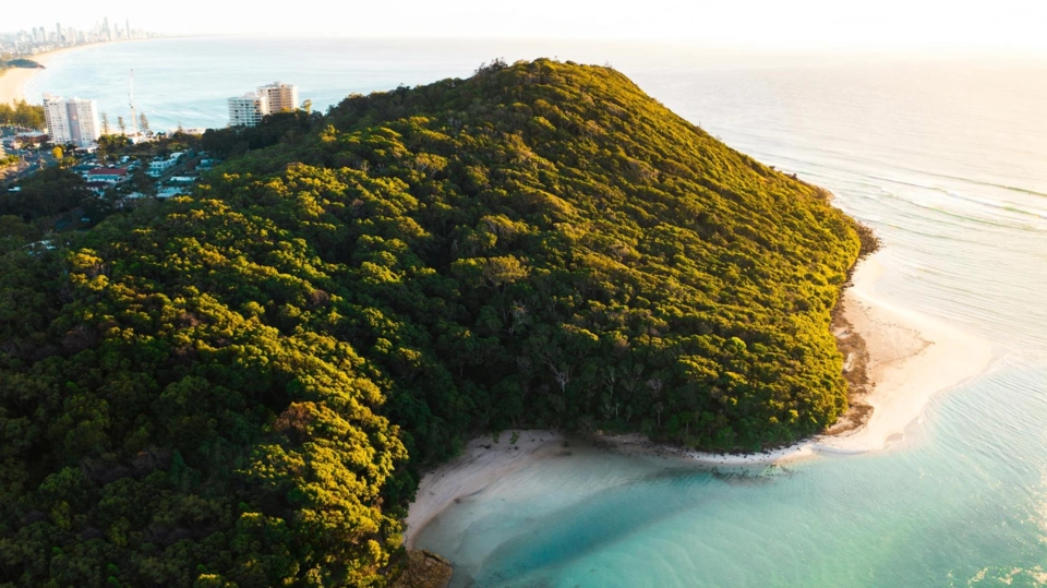 Gold Coast Yacht — Guide gallery — image 3 of 3