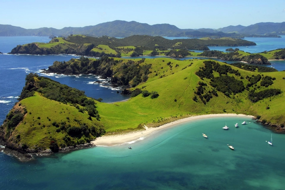 Auckland Yacht — Guide gallery — image 2 of 3