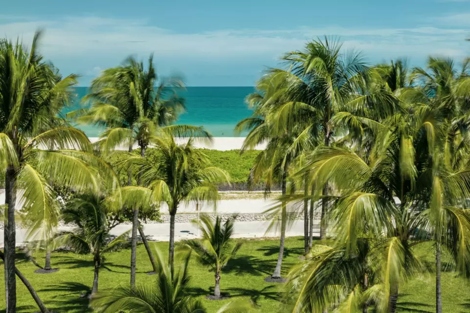 Palm Beach Yacht — Guide gallery — image 2 of 3