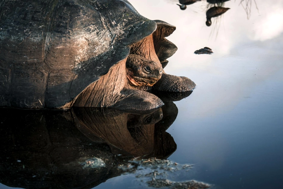 Galapagos Yacht — Guide gallery — image 1 of 3