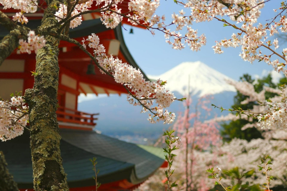 Japan Yacht — Guide gallery — image 1 of 3