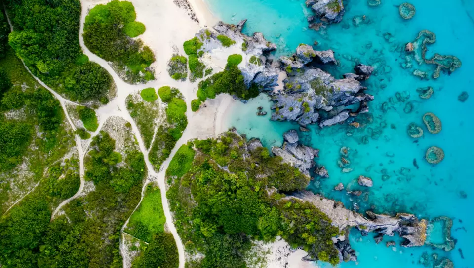 Bermuda Yacht — Guide gallery — image 3 of 3