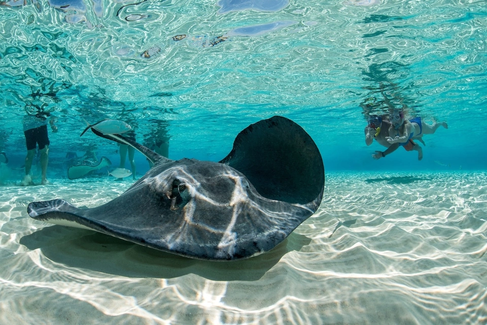 Cayman Islands Yacht — Guide gallery — image 3 of 3