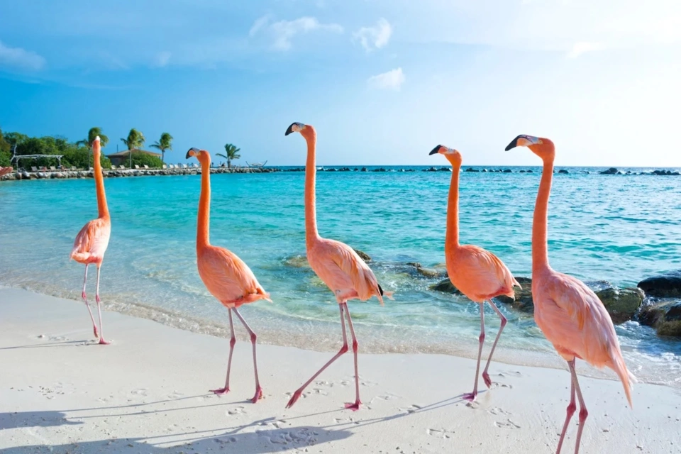 Aruba Yacht — Itinerary gallery — image 1 of 3