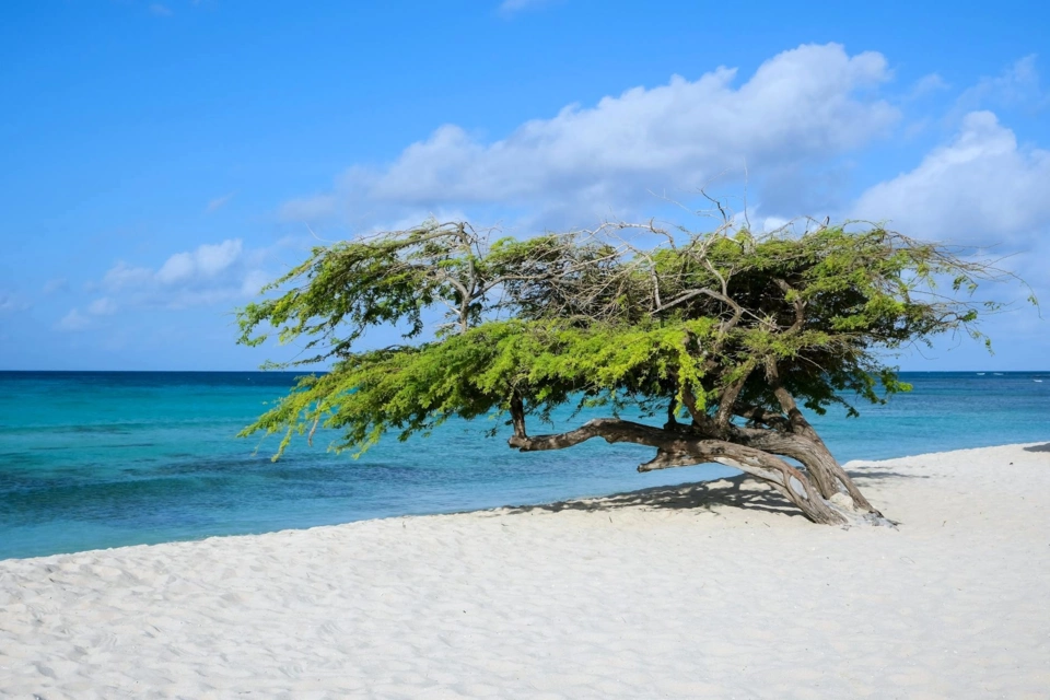 Aruba Yacht — Itinerary gallery — image 3 of 3