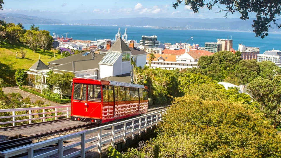 Wellington Yacht — Itinerary gallery — image 1 of 3