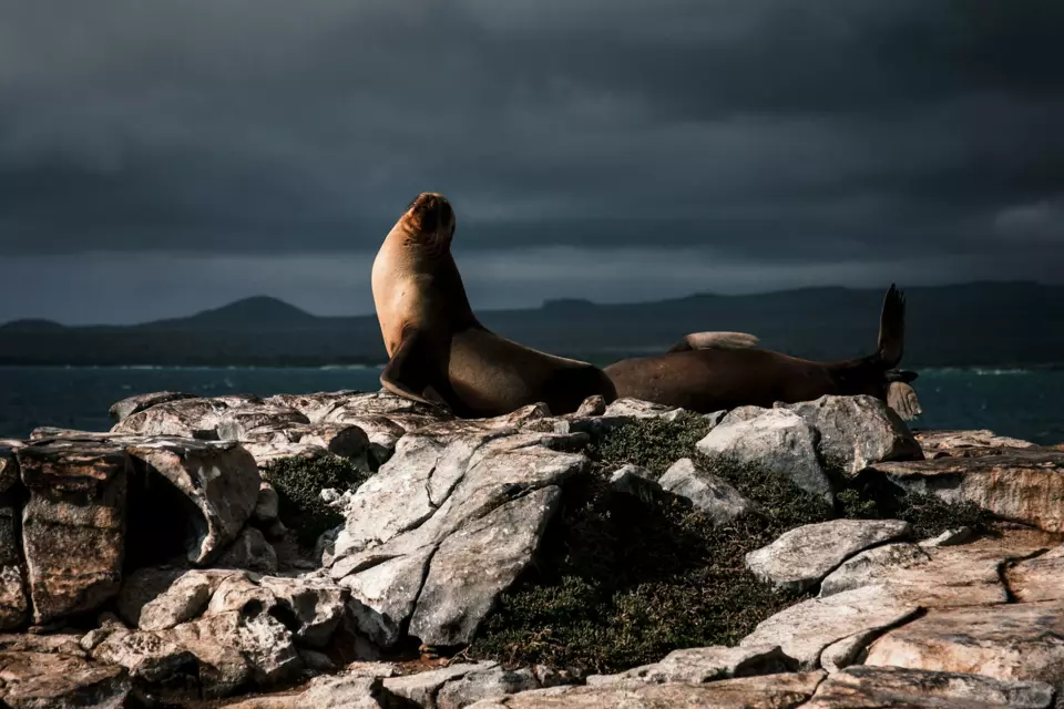 Galapagos Yacht — Itinerary gallery — image 2 of 3
