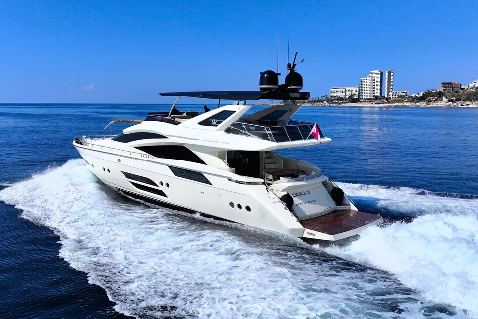 Dolly, 2015 Dominator 800, photo 5