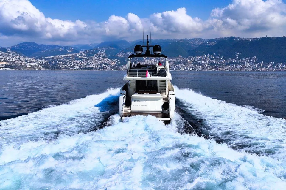 Dolly, 2015 Dominator 800, photo 7