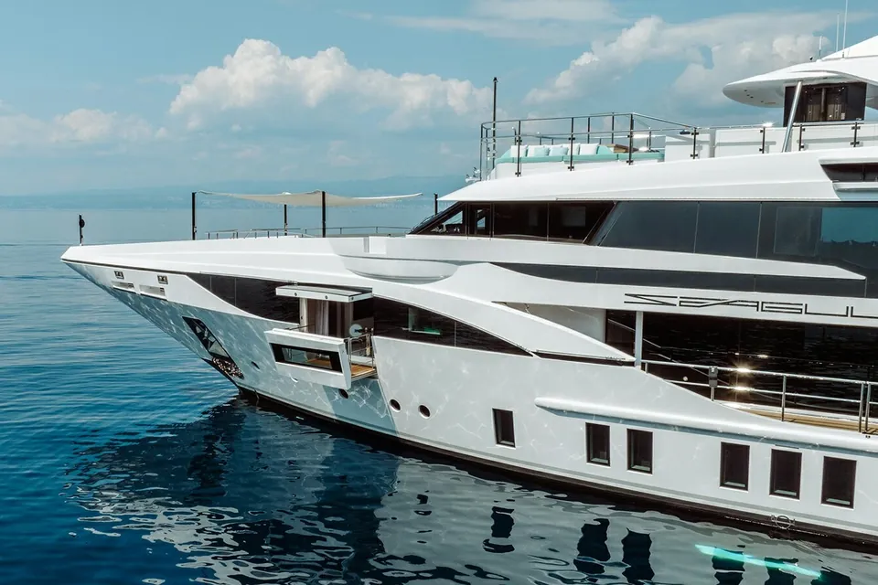 Seagull MRD, 2020 Benetti Custom, photo 6