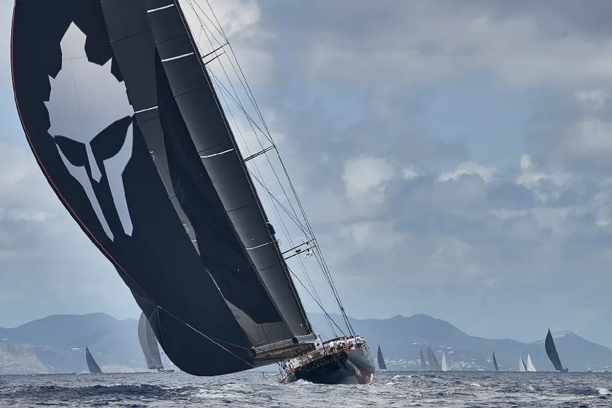 Maximus II, 2023 Vitters, photo 2