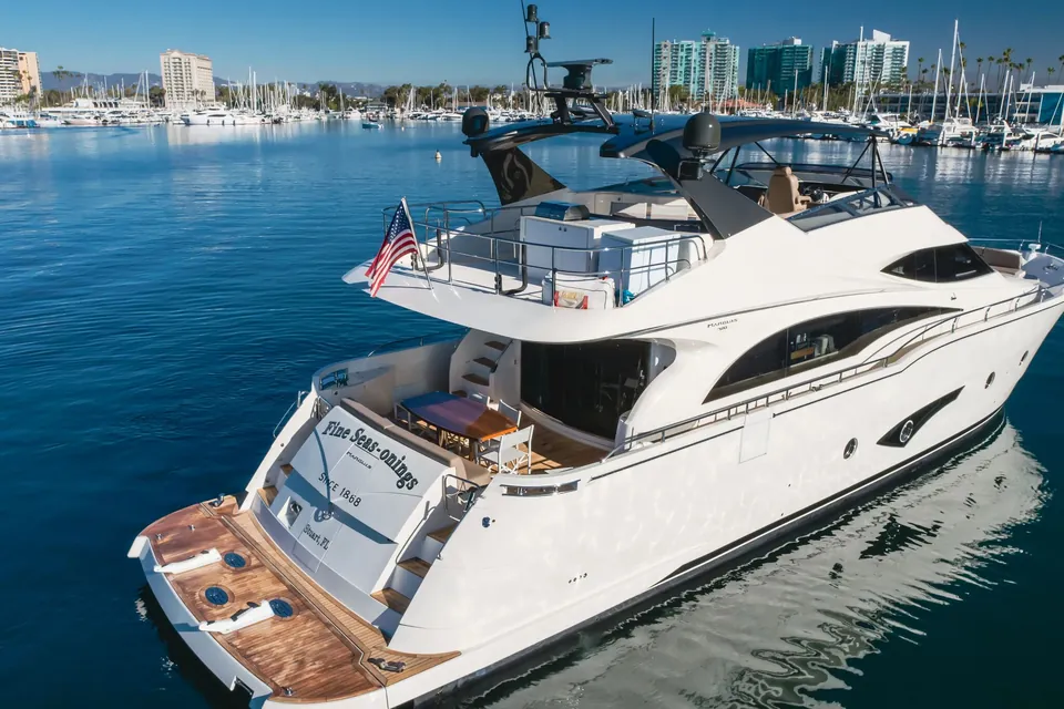Fine Seas-Onings, 2018 Marquis 720 Fly, photo 11