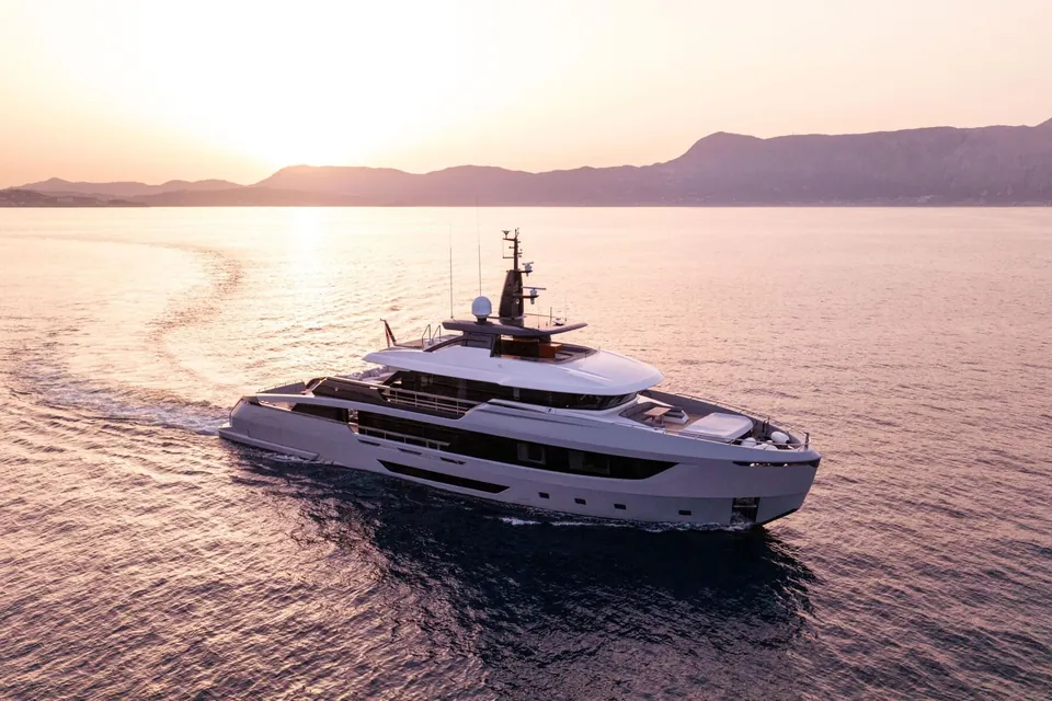Lori, 2024 Ocean King, photo 3