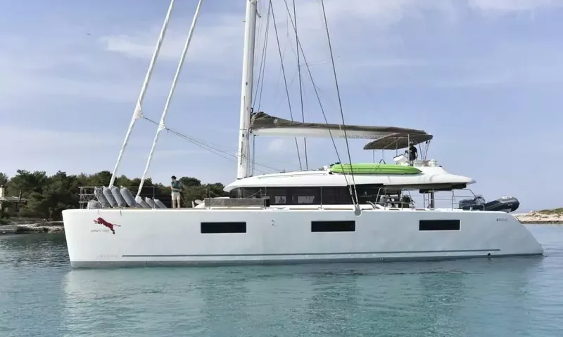 Adriatic Tiger image 1