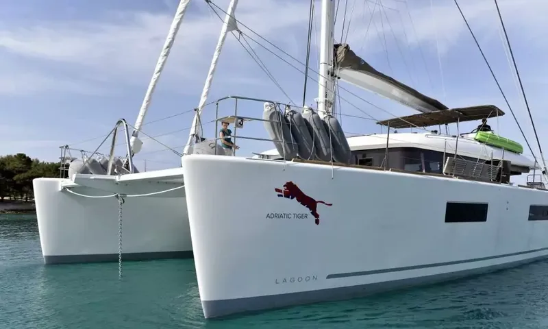 Adriatic Tiger image 2
