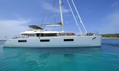 Adriatic Tiger image 3