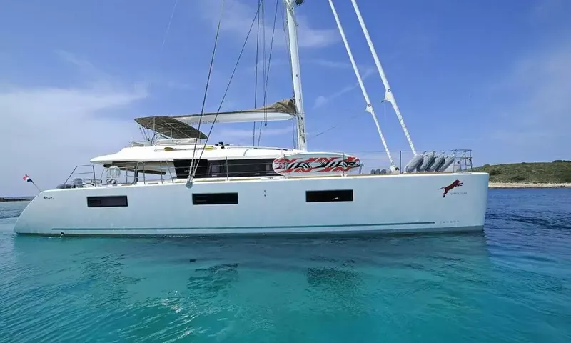 Adriatic Tiger image 3
