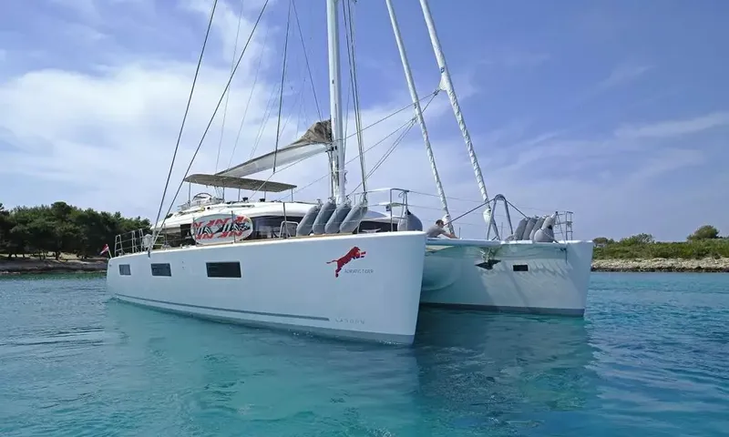 Adriatic Tiger image 4