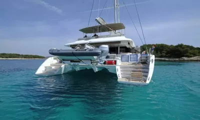 Adriatic Tiger image 5