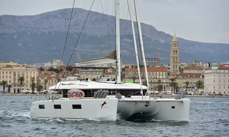 Adriatic Tiger image 6
