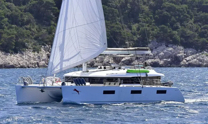 Adriatic Tiger image 7