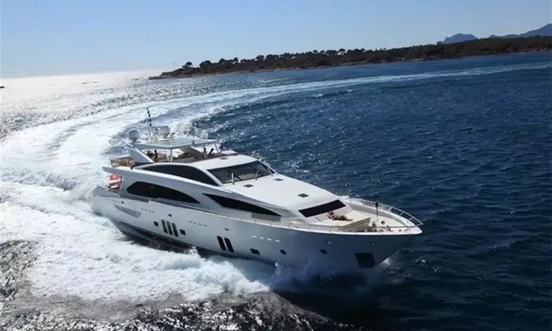 Arion image 30
