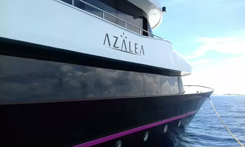 Azalea image 34