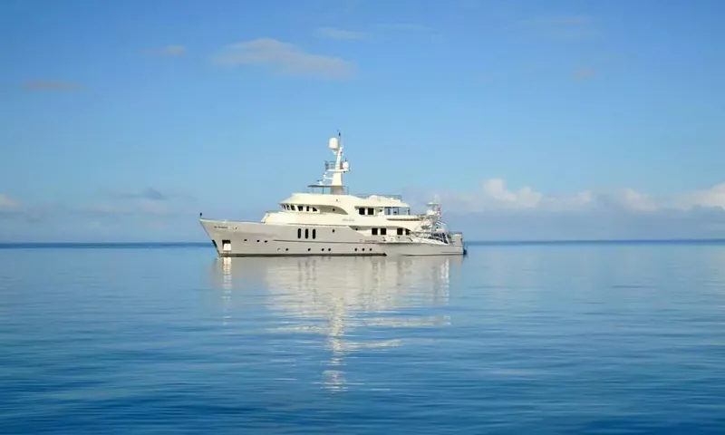 Beluga image 15