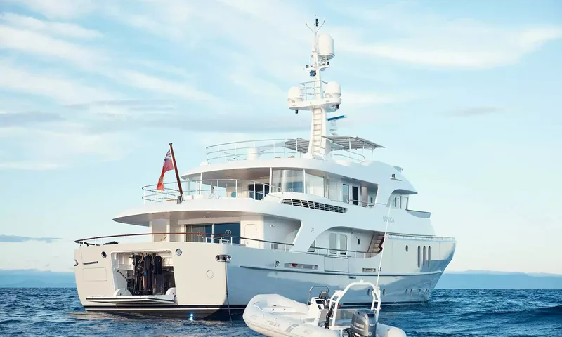 Beluga image 2