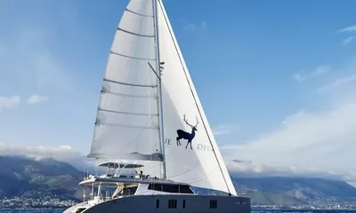 Blue Deer thumbnail