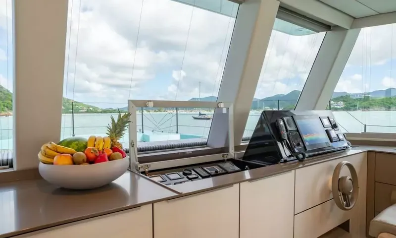 Orca image 10