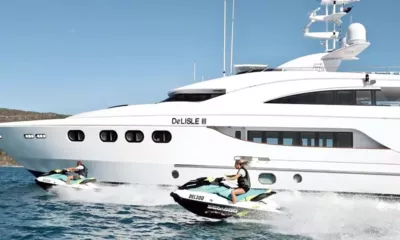 De Lisle III thumbnail