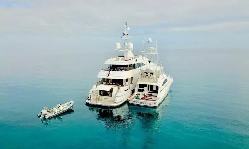 De Lisle III image 15