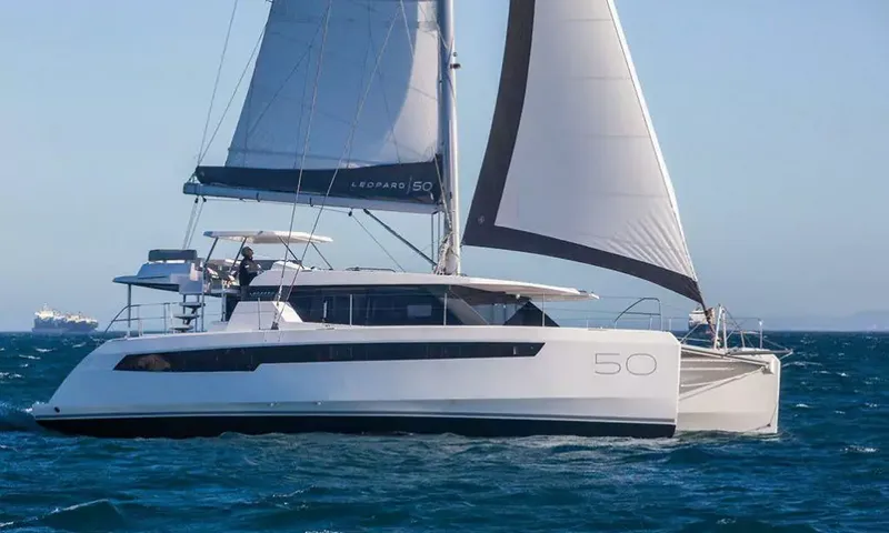 Fifty Leos image 12