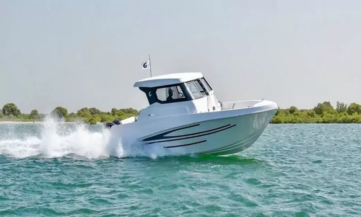 Fish Fun 9 – image principale