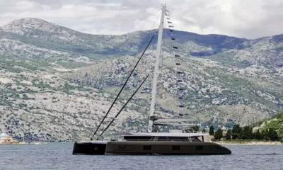 Gyrfalcon image 2