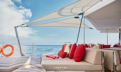 Lobster image 5