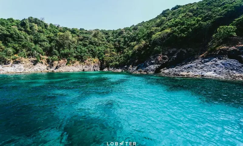 Lobster image 18