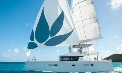 Lotus: Catamarã navegando com uma grande buja estampada com folhas em águas de azul intenso