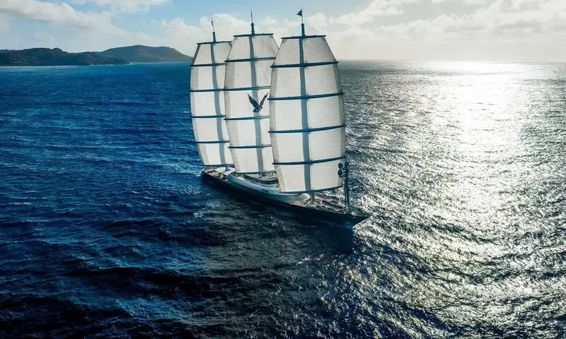 Maltese Falcon imagem 1