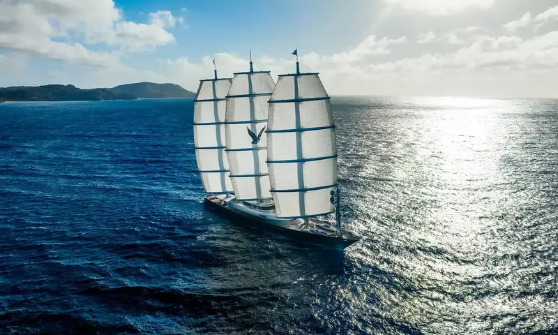 Maltese Falcon imagem 14