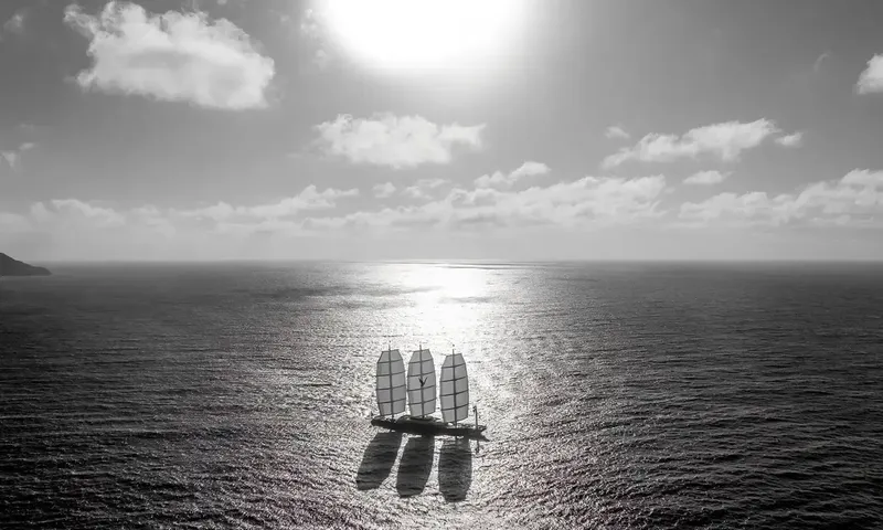 Maltese Falcon imagem 48