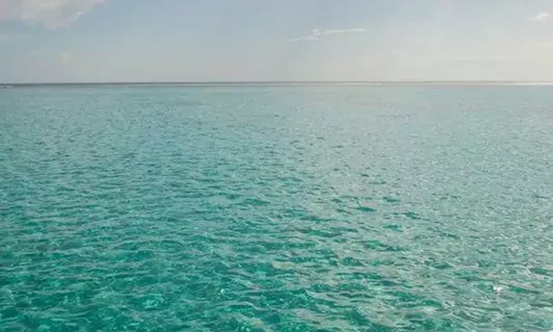 Miss Kulani image 17