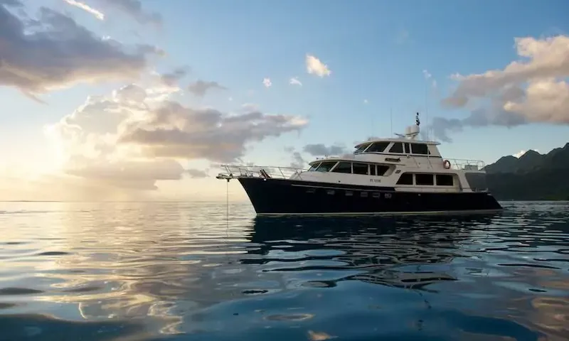 Miss Kulani image 85