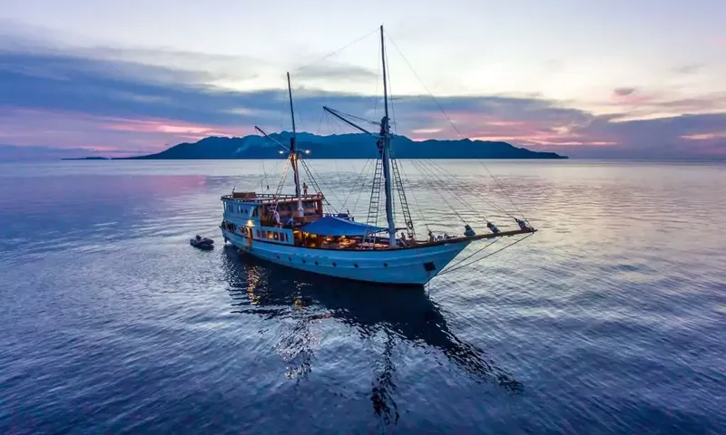 Ocean Pure image 1