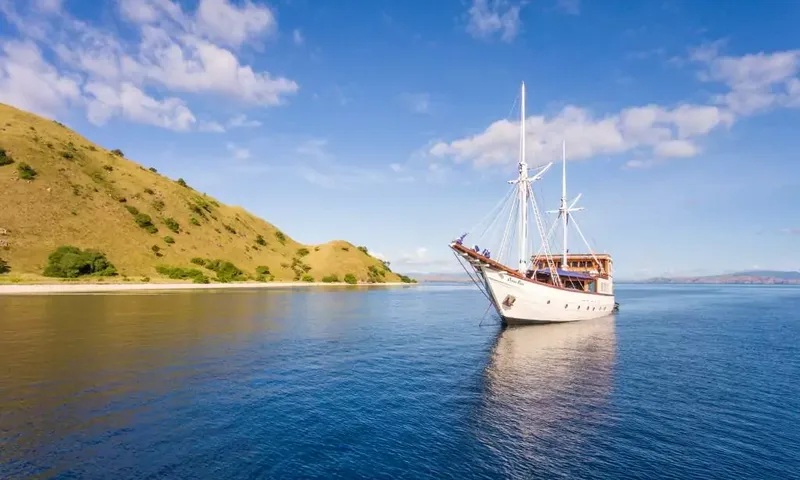 Ocean Pure image 9