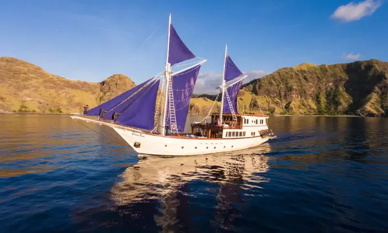 Ocean Pure image 18